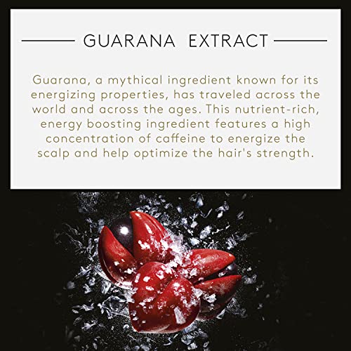Rene Furterer Forticea Strengthening Revitalizing Shampoo - Energize Scalp with Rosemary Essential Oil, and Niacinamide - Sulfate, Paraben, Silicone-Free - Gentle Formula for Daily Use