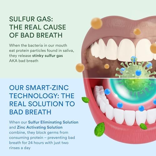SmartMouth DDS Activated Clinical Mouthwash - for Fresh Breath - Clinical Strength Mouthwash for Gum Health, Gingivitis & More - Clean Mint Flavor, 16 fl oz (3 Pack)