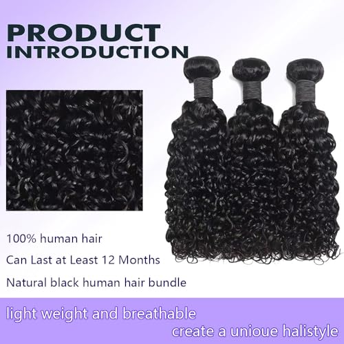 Water Wave Human Hair Bundles 18 20 22 Inch 12A 100% Unprocessed Remy Wet And Wavy Bundles Human Hair Brazilian Curly Wave Bundles Water Wave Bundles Full And Thick Black Color
