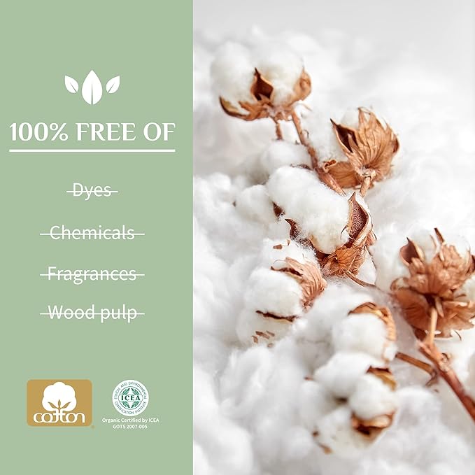 Organyc - 100% Certified Organic Cotton Inside and Out Feminine Pads, Sanitary Napkin 40 Count, Heavy Flow, New Larger Size Packaging