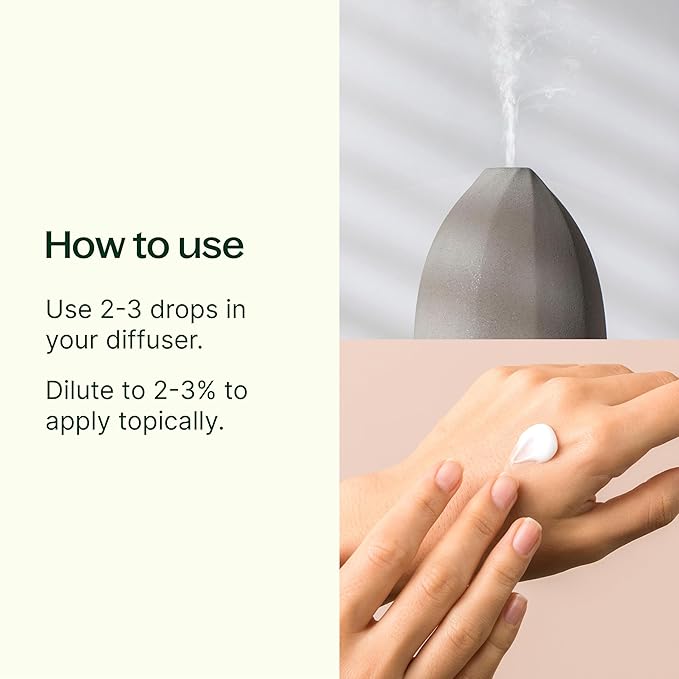 Plant Therapy Blissful Dreams Essential Oil Blend, For Relaxation While Supporting Quality Rest, Grounding and Soothing, Lovely Bedtime Aroma, 10 mL (1/3 oz) 100% Pure, Undiluted, Natural Aromatherapy