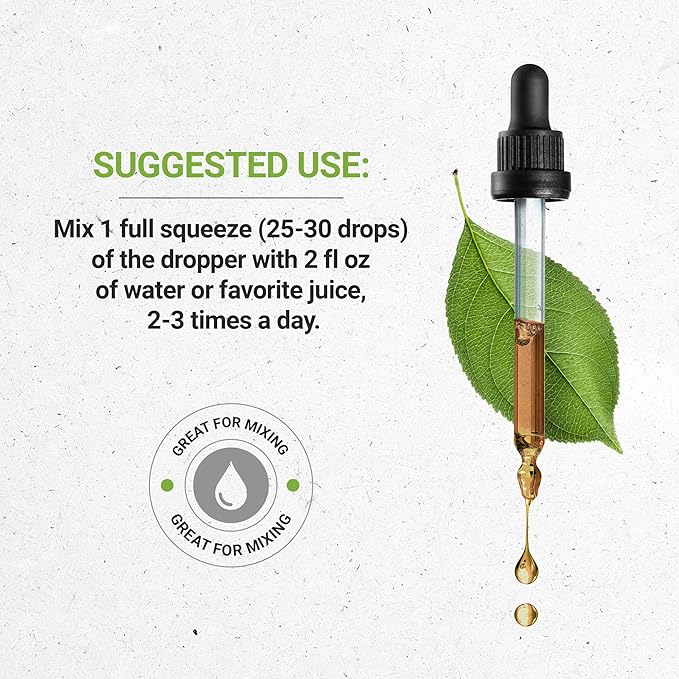 Secrets of the Tribe Ceylon Cinnamon Tincture Alcohol-Free Liquid Extract, Ceylon Cinnamon (Cinnamomum Verum) Dried Bark (4 FL OZ)