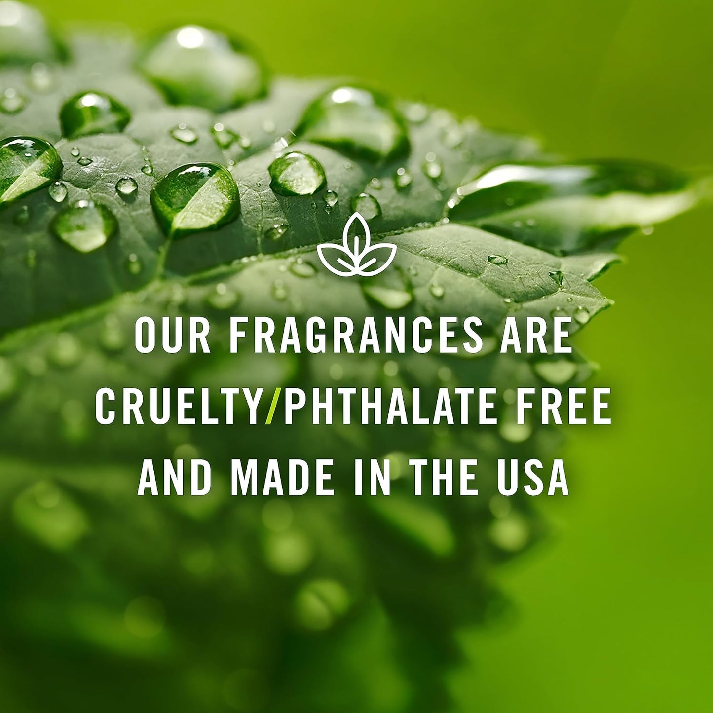 P&J Trading Fragrance Oil | Lemon Oil 100ml - Candle Scents for Candle Making, Freshie Scents, Soap Making Supplies, Diffuser Oil Scents